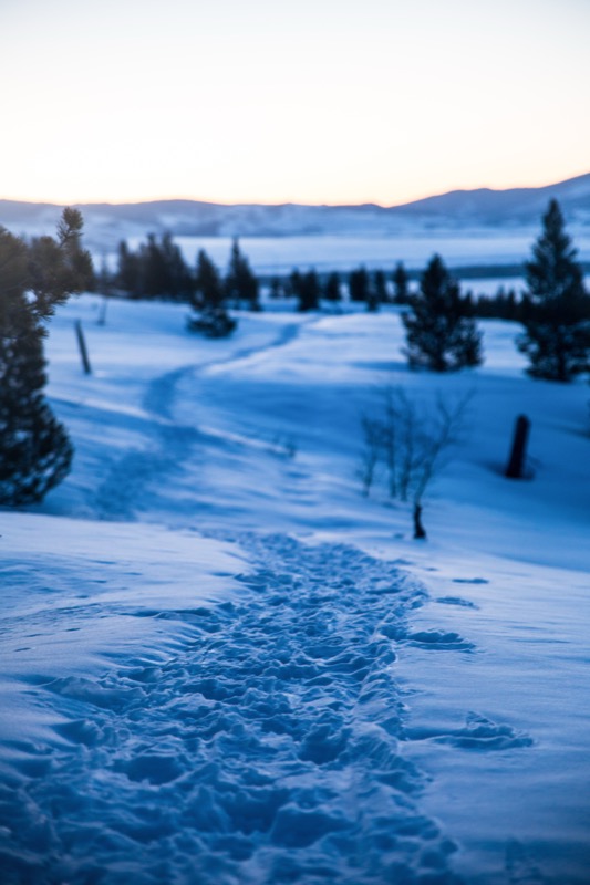 20150308-GC1A0182-Edit.jpg